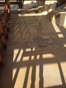 image1.jpeg