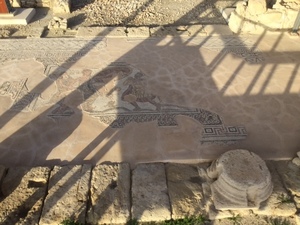 image6.jpeg