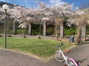 IMG_8202.jpg